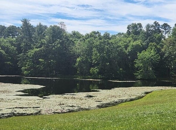 Lot23 Pine Lake Est /Waller Road, Pikeville, TN 37367