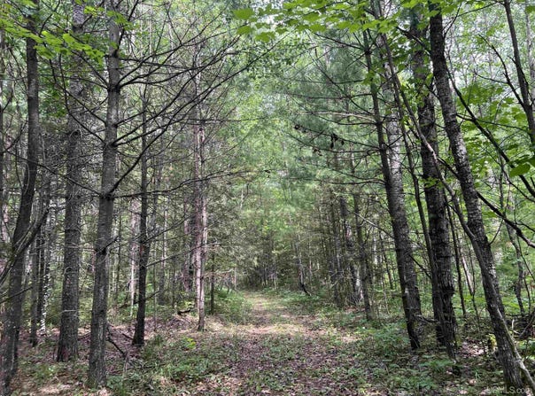 Leeman Road, Felch, MI 49831