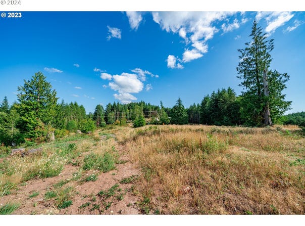 S Silver Lake, CastleRock, WA 98611