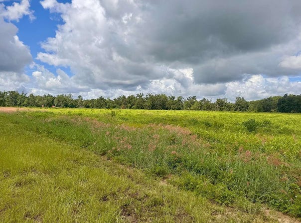 000 NW 50TH LANE, Jennings, FL 32053