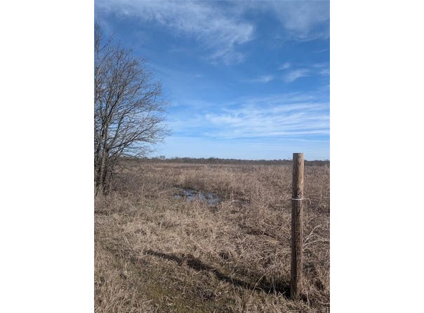 3520 County Road, Honey Grove, TX 75446