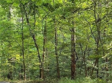 Lot 5 & 6 Commanche Drive, Cape Girardeau, MO 63701