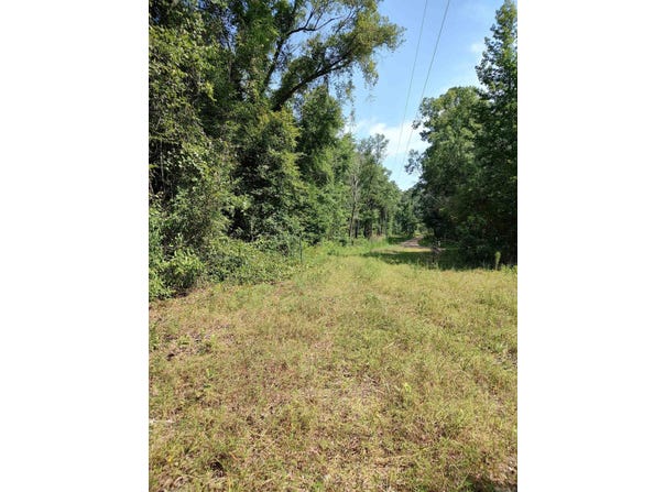 80 acres Calhoun 199 Road, Hampton, AR 71744