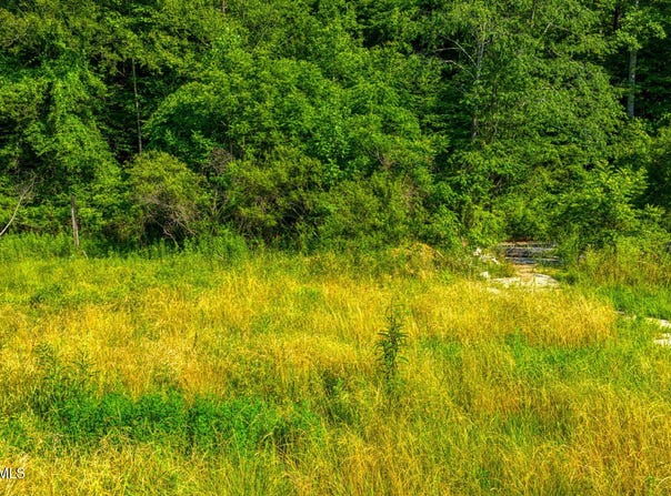 115 Willis Road, Rogersville, TN 37857