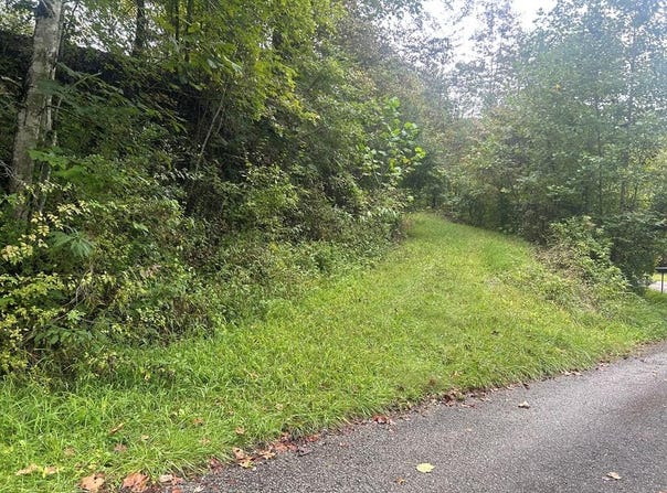 Little Lick Fork Road, Inez, KY 41224