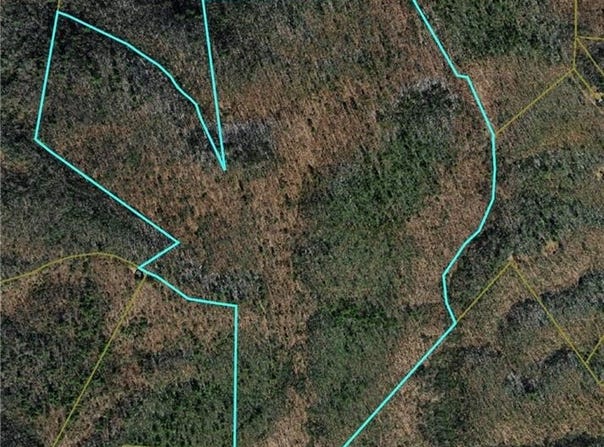 Buckwheat Road, McGrady, NC 28649