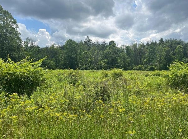 HORNBROOK Road, Ithaca, NY 14850