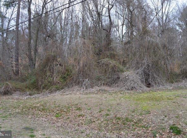 BROWNSVILLE ROAD, CENTREVILLE, MD 21617