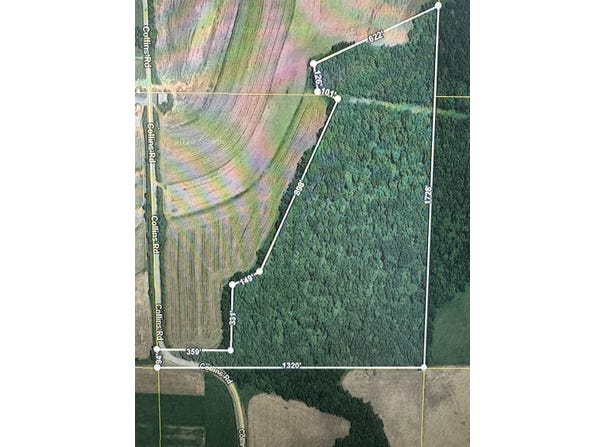 27.64 Acres, Collins Road, Mount Hope, WI 53816