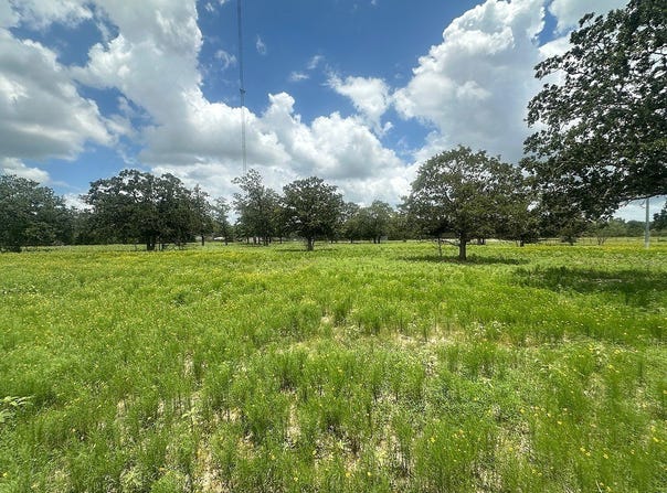 3351 Interstate 10 Frontage Road, Flatonia, TX 78941