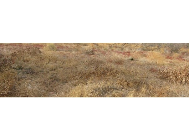 04333001075 Twisselman Road, Lost Hills, CA 93249
