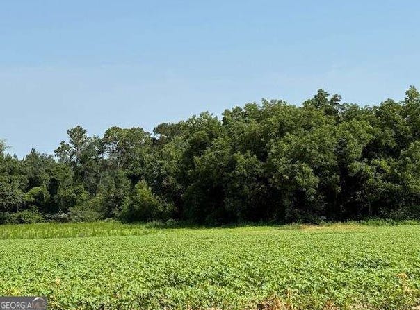 0 Gibbs, Sumner, GA 31789