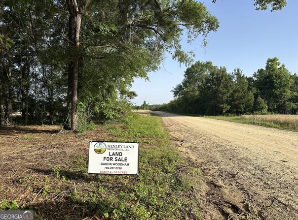 04 Pine Hill Church Road, Waynesboro, GA 30830