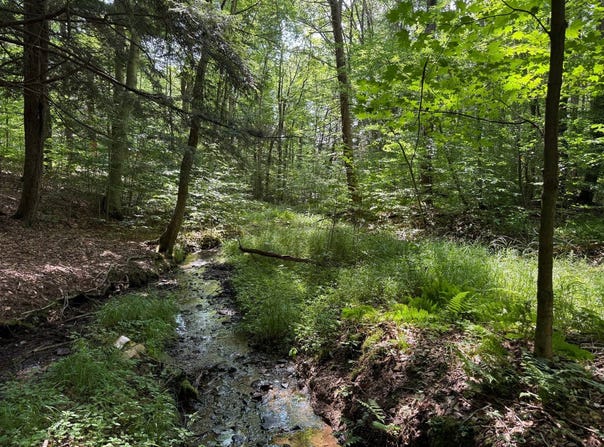 00 Red Mill Road, Mount Jewett, PA 16740