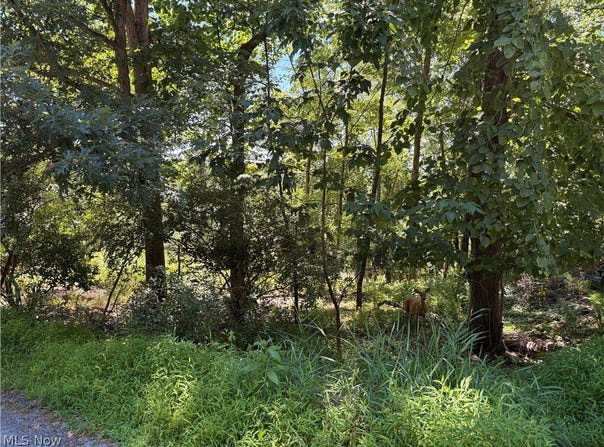 Comanche Trail lot: 1623, Malvern, OH 44644