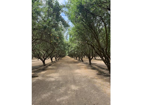 18700 Road 16, Chowchilla, CA 93610