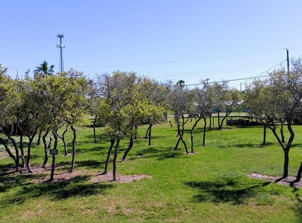 383 & 384 Royal Oak Ln., ROCKPORT, TX 78382