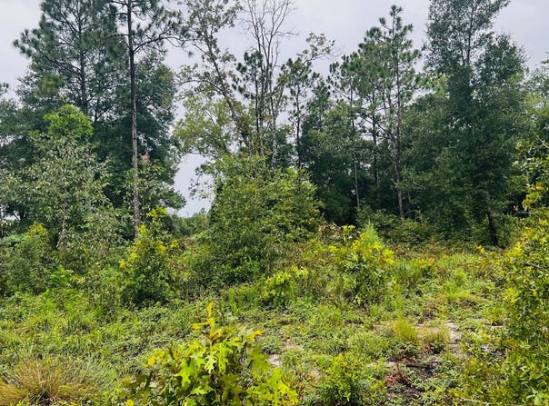 6283 Vanderbilt, Keystone Heights, FL 32656