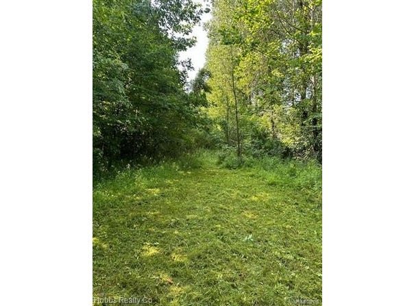 Birch Run Rd., Arbela Twp, MI 48746