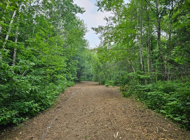 7 Poradish Rd, Birchwood, WI 54835