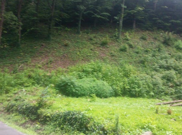690 Ratliff Creek Road, Pikeville, KY 41501