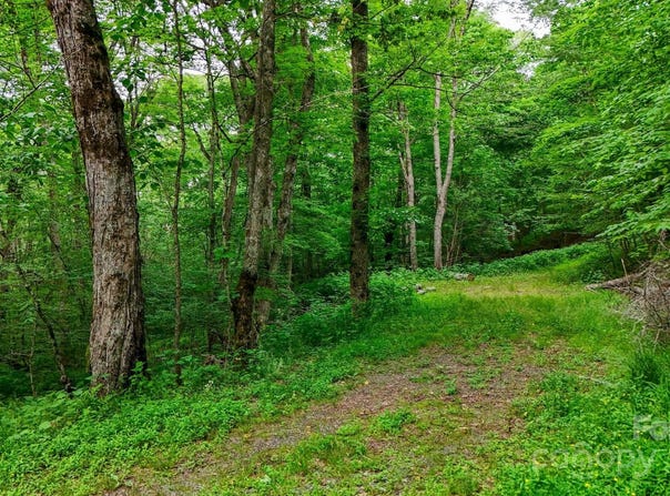 233 Woodland Springs Trail unit: 14, Boone, NC 28607