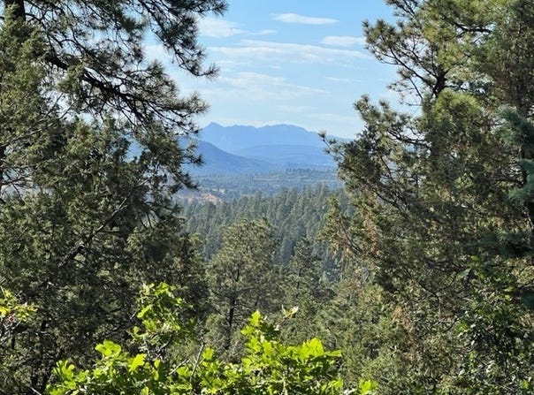 Log Ridge Trail, Chama, NM 87520