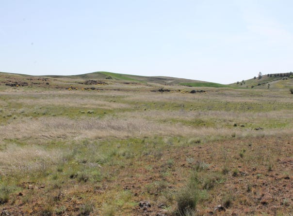 S Rock Lake Rd, Cheney, WA 99004