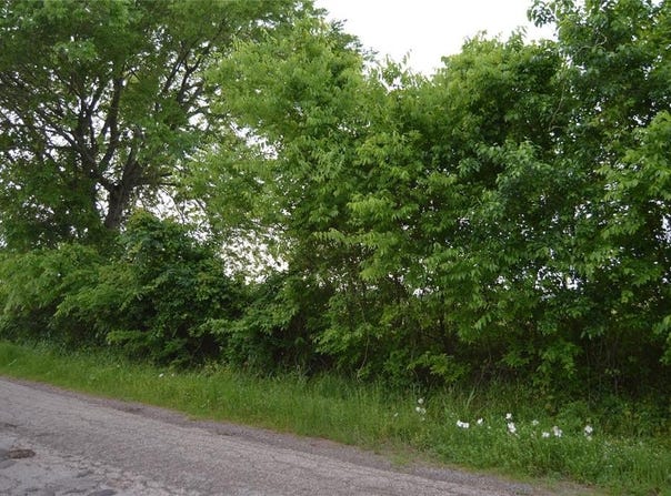 Tbd Replat Lot RS County Road 1520, Point, TX 75472