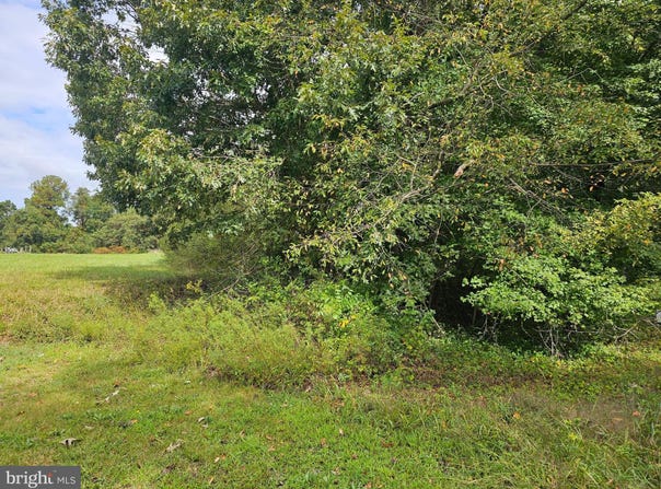 00000 BUSHWOOD, BUSHWOOD, MD 20618