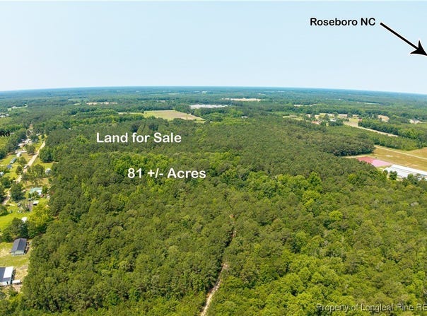 Big Piney Grove Road, Clinton, NC 28328