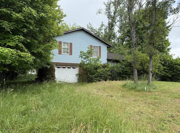 60 Deer Creek Drive, Canvas, WV 26662
