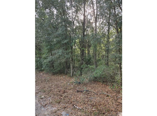 NE 163RD PLACE, CITRA, FL 32113