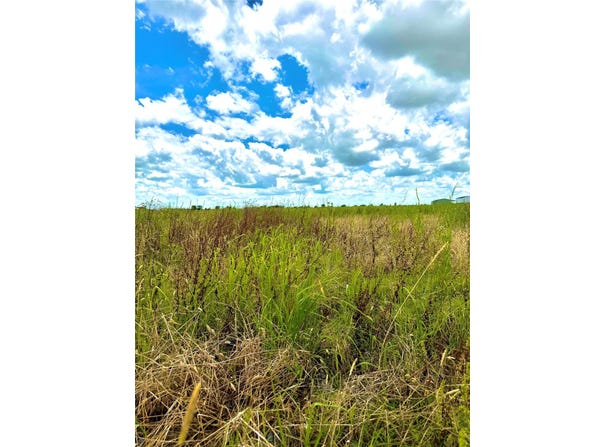 TBD Tract 4 Beal Rd, Eagle Lake, TX 77434