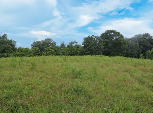 520 Pennington Lane Lane, Owenton, KY 40359