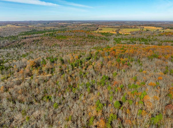 Peter Martin Hill Rd, Cave City, AR 72521