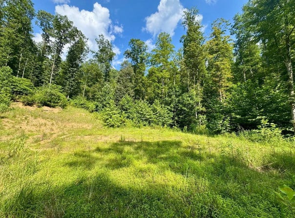 1351  Poca Road, Looneyville25, WV 25259