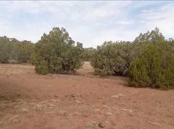 Tbd LAZY O RD, Show Low, AZ 85901