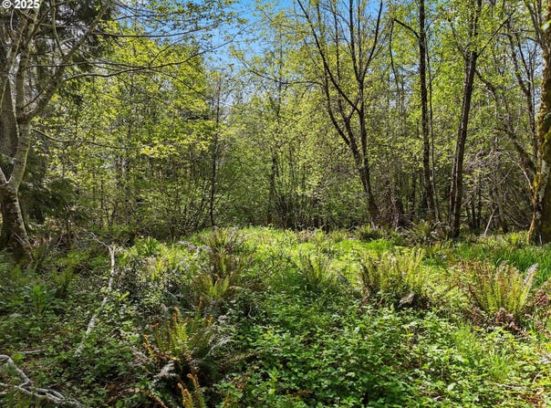 1420 Raymond-South Bend Rd, Raymond, WA 98577