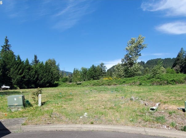 48489 ROARING RAPIDS WAY, Oakridge, OR 97463