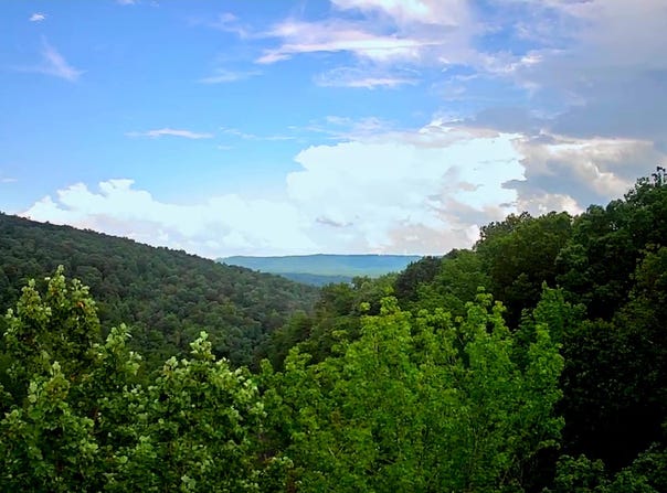 0 Highway 156, South Pittsburg, TN 37380