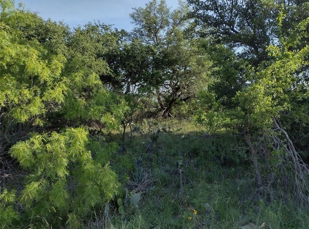 Lots 53-54 Janda Lane, Brownwood, TX 76801