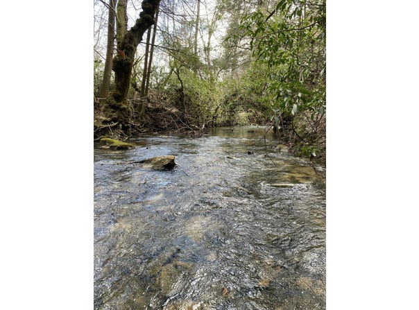 0 Lone Wolf Trail, Spencer, TN 38585