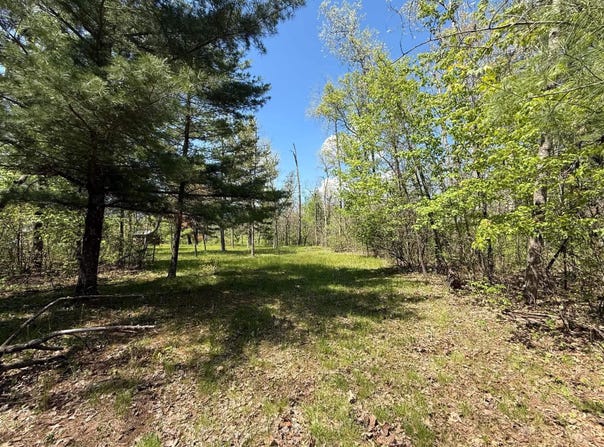 1310 S Cree Drive, Friendship, WI 53934