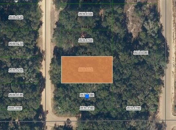 MARION AVENUE, INTERLACHEN, FL 32148