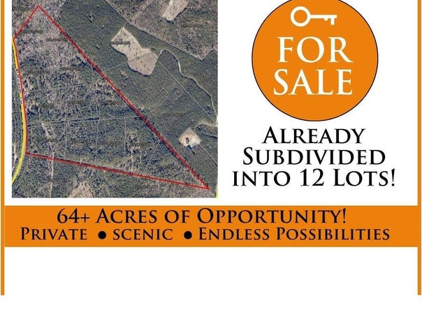 64.68 Acre Mt Beulah Road, Windsor, SC 29856