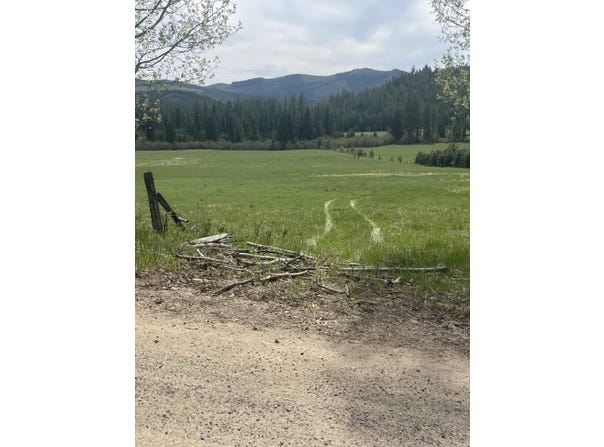 Nka 100 Windfall Pass Rd, St. Maries, ID 83861