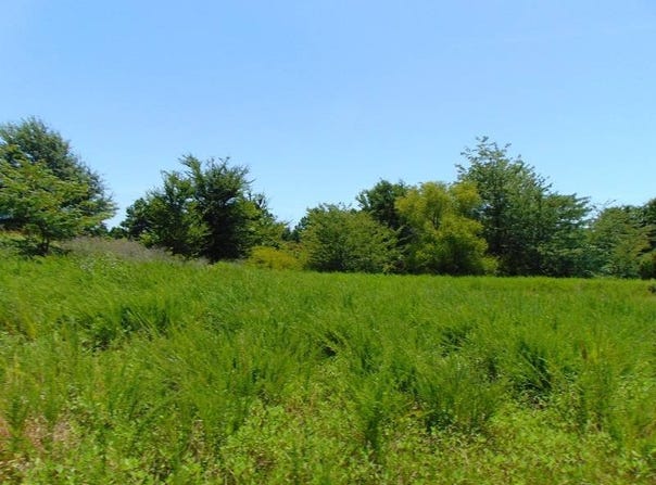 tbd Peach Creek Road, Fanshawe, OK 74935