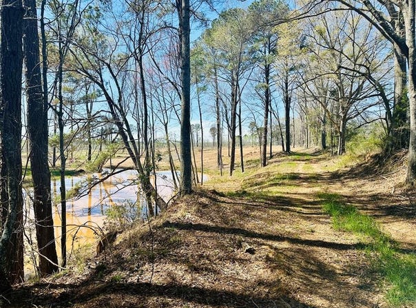 6046 County Road 2225 Troy, AL 36079, Troy, AL 36079