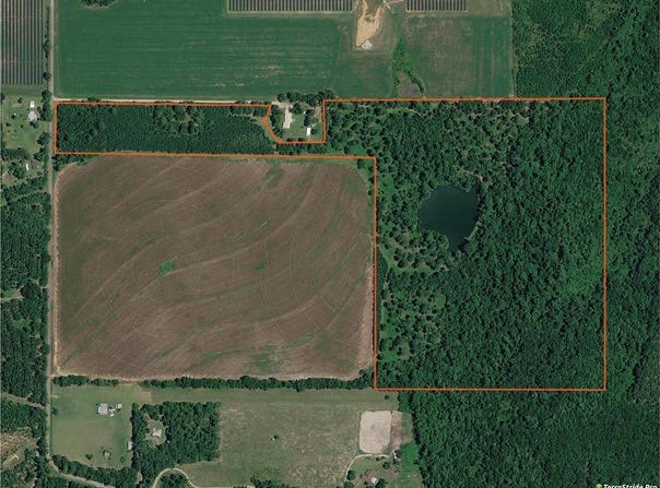 126 Eakin Road, Climax, GA 39819